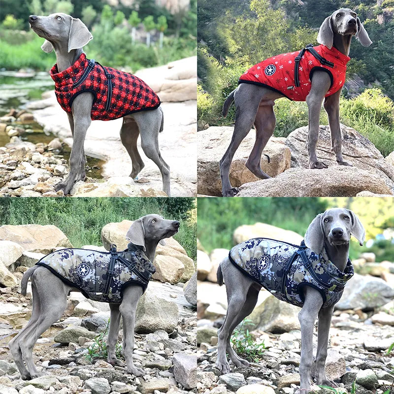 Winter-Ready Waterproof Dog Harness Jacket